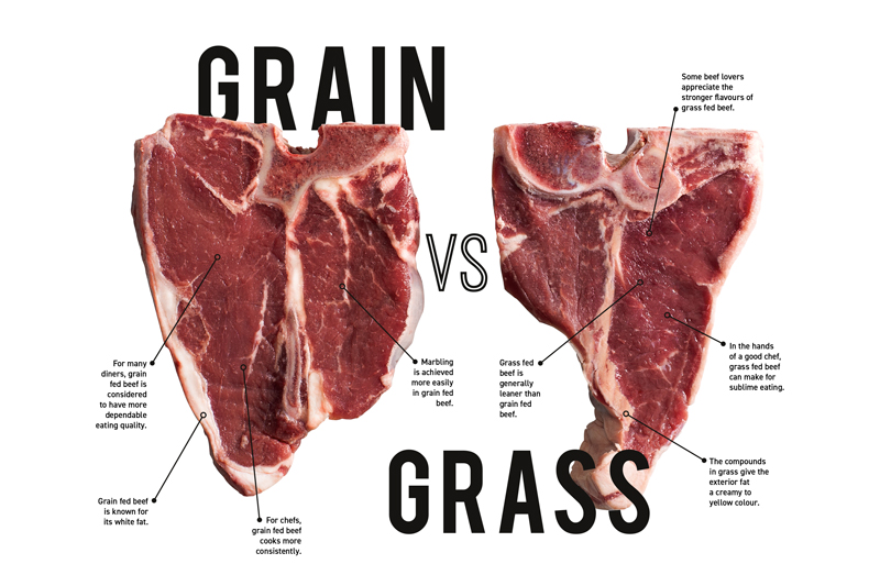Let's talk about beef: grain vs. grass - Bidfood Australia